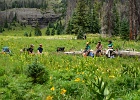 Williams Creek Trail